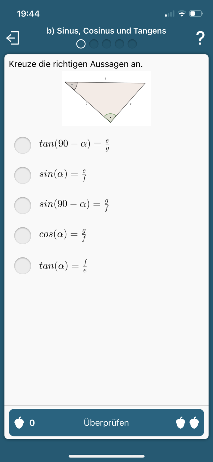 Mathematik verstehen 5 | eSquirrel